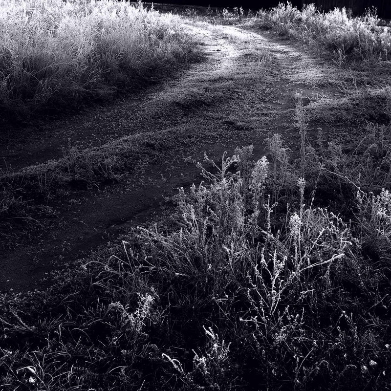 Фотографія Живе світло / Андрій Майковський / photographers.ua