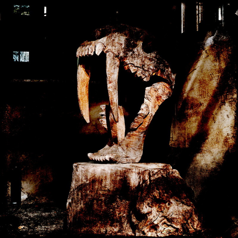 Фотографія Страх / Андрій Майковський / photographers.ua