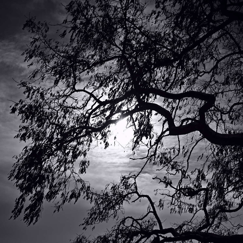 Фотографія Холодне сонце / Андрій Майковський / photographers.ua