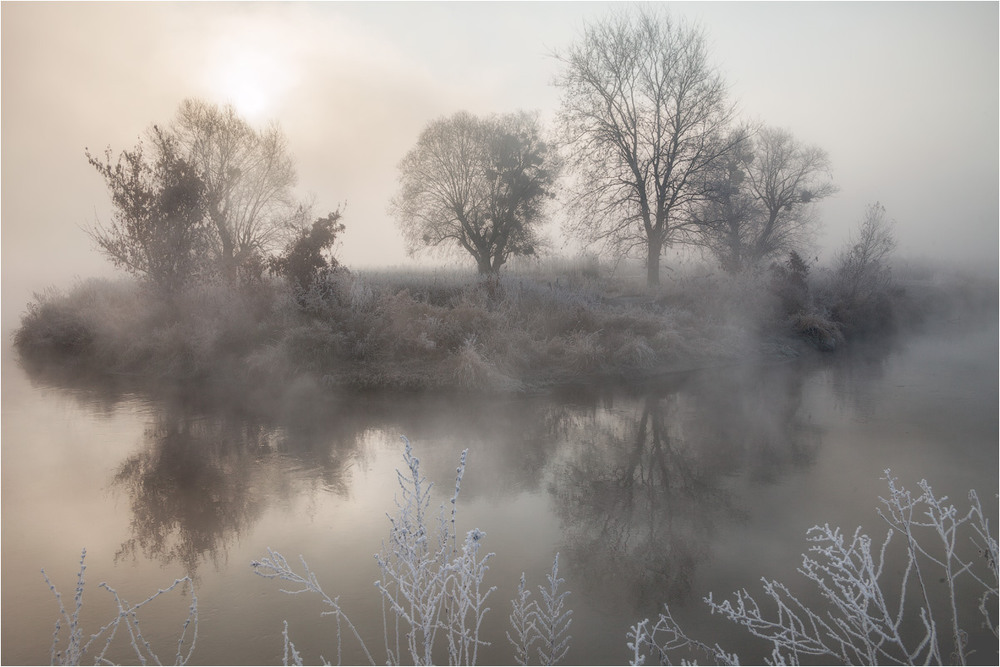 Фотографія Морозным утром ноября / Yakov Rodygin / photographers.ua