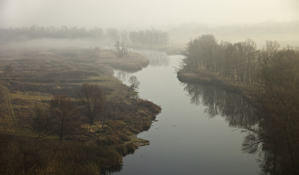 Фотографія Осенним утром / Yakov Rodygin / photographers.ua
