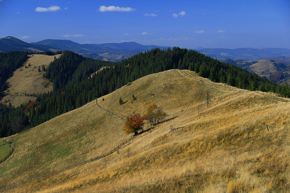 Фотографія Пейзаж / Аngelika (Анжелика Ведюн) / photographers.ua