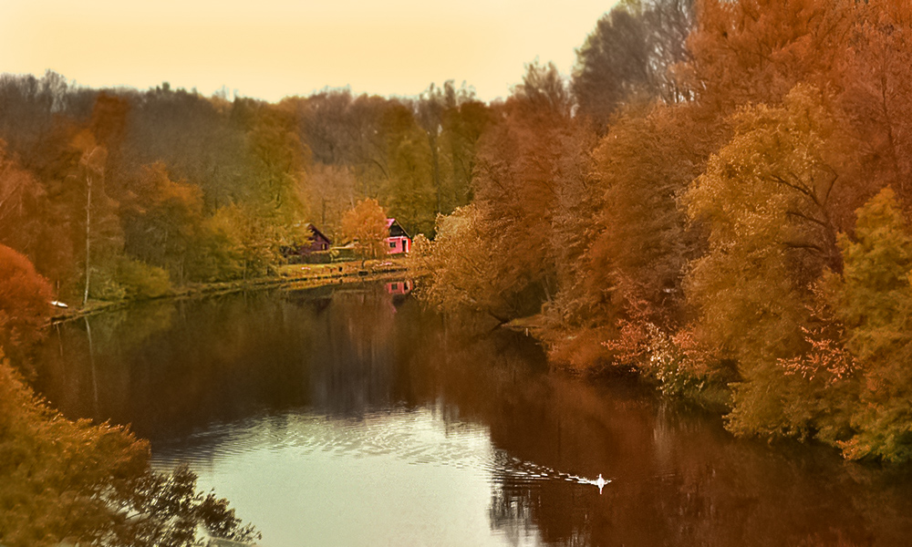 Фотографія Осень в Саксонии / Андрей Москаленко / photographers.ua