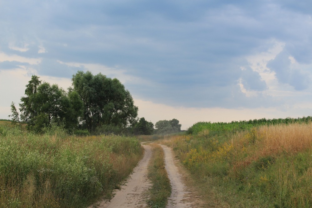 Фотографія С. Халявин, Черниговский район / Світлана Нітченко / photographers.ua