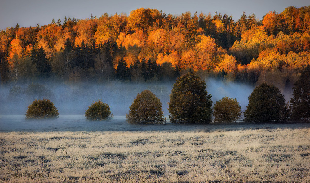 Фотографія "Утро красит нежным светом..." / Екатерина Ионенко / photographers.ua
