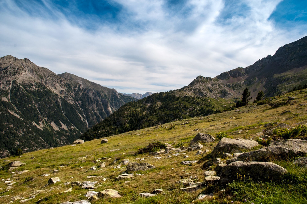 Фотографія Альпийские луга Пиренейских гор / gunar / photographers.ua