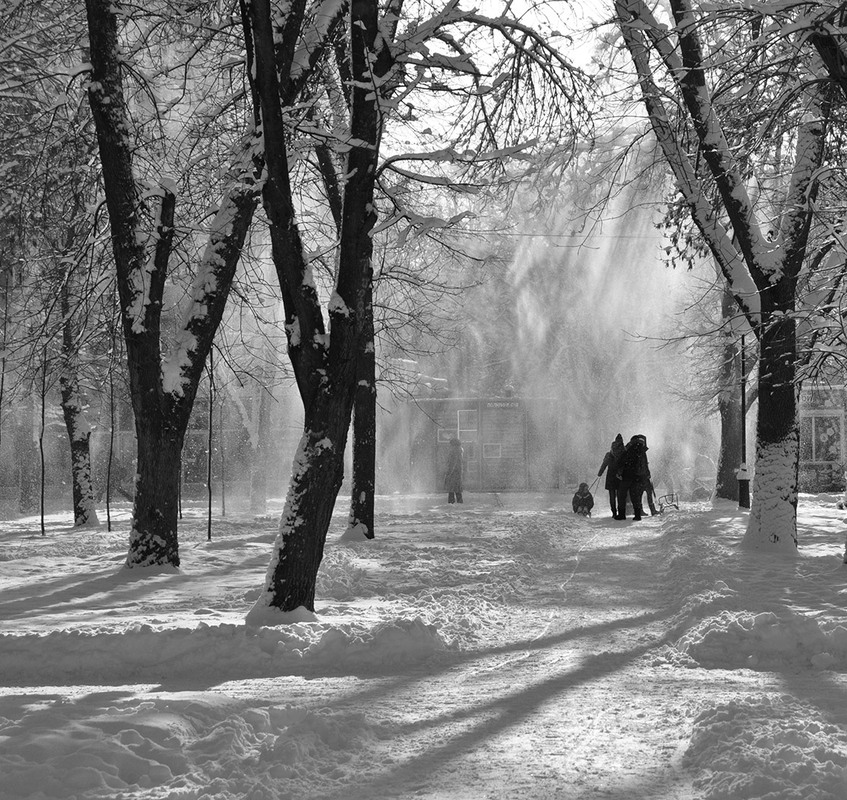 Фотографія ..И выпал снег / gunar / photographers.ua