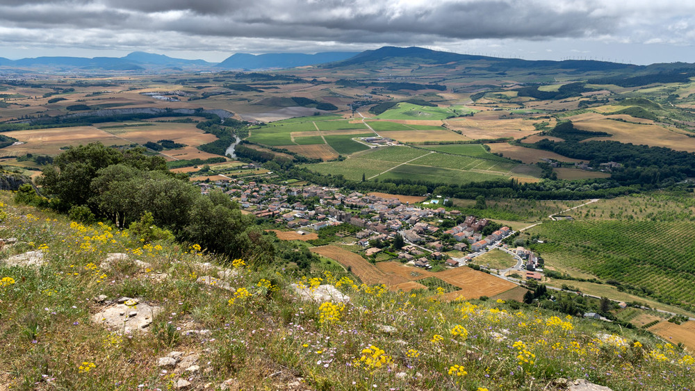 Фотографія Шахова дошка / gunar / photographers.ua