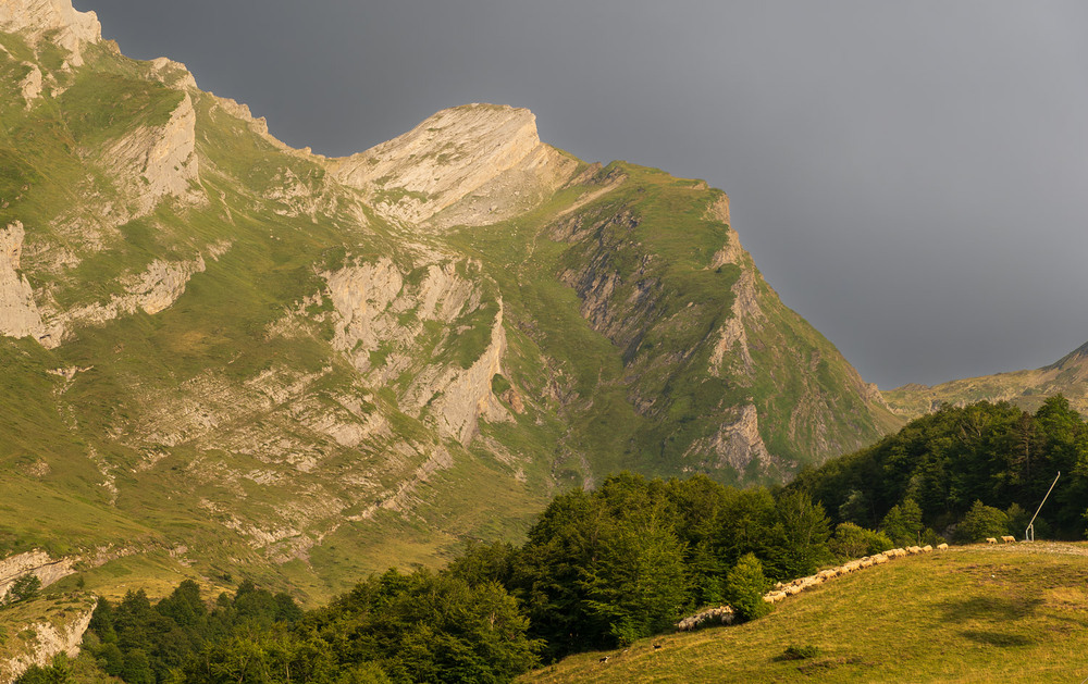 Фотографія Вечірня пастораль / gunar / photographers.ua