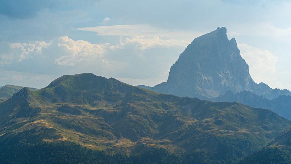 Фотографія про ведмідя / gunar / photographers.ua