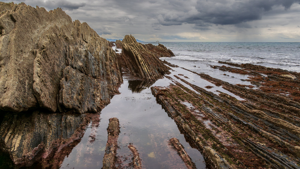 Фотографія На фліші / gunar / photographers.ua