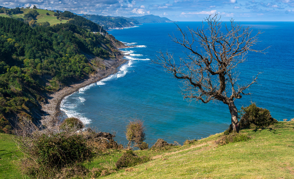 Фотографія Фон для самотності / gunar / photographers.ua