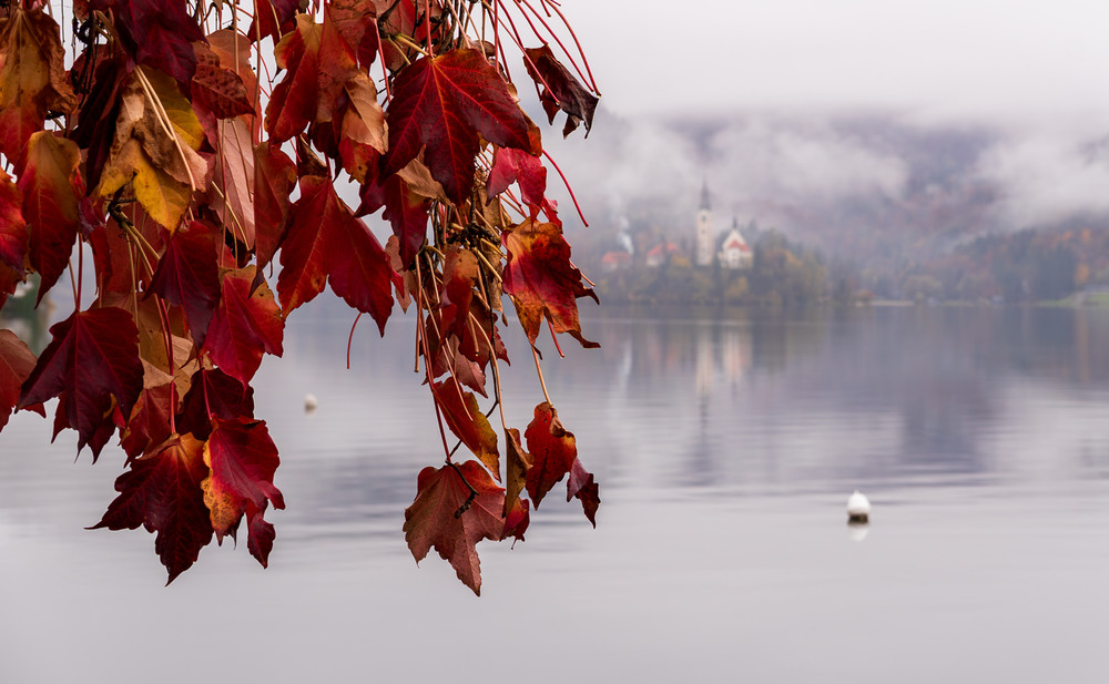 Фотографія Бледську хайку / gunar / photographers.ua
