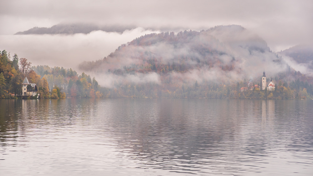 Фотографія Дощами вмите, туманом оповите / gunar / photographers.ua