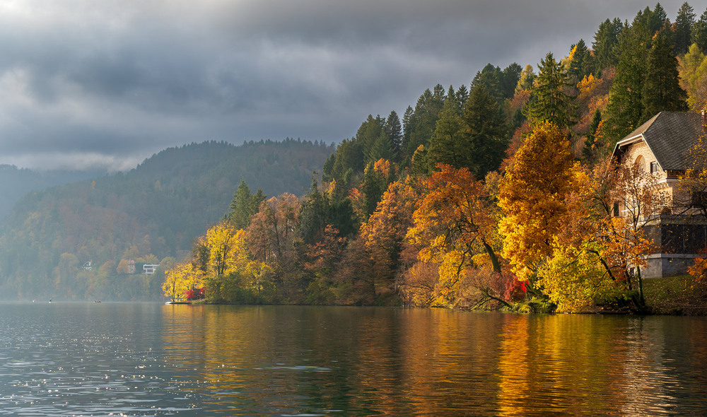 Фотографія Жовтневі пожежі / gunar / photographers.ua