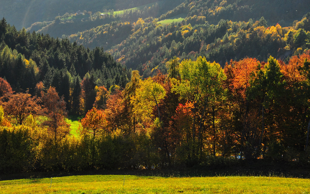 Фотографія Альпійська осінь / gunar / photographers.ua