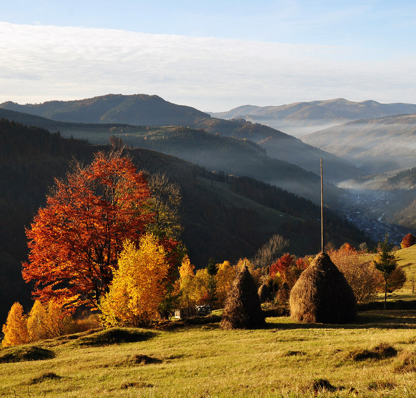 Фотографія Карпатська осінь / gunar / photographers.ua