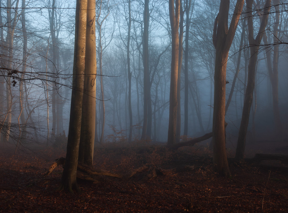 Фотографія Таємниці острова Рюген / gunar / photographers.ua