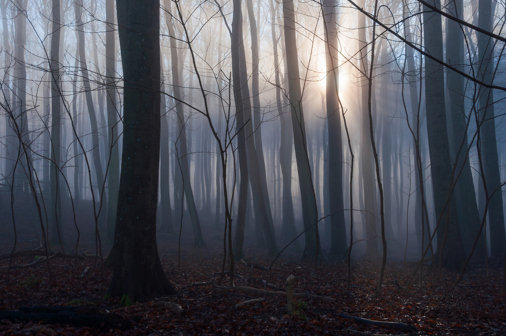 Фотографія Таємниці острова Рюген / gunar / photographers.ua