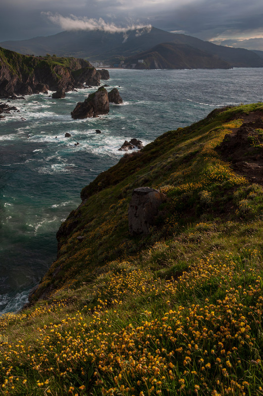 Фотографія Після шторму / gunar / photographers.ua
