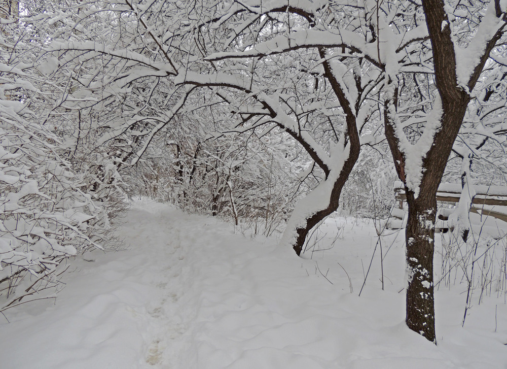 Фотографія Хорошо, когда так снежно... / Ninelle / photographers.ua