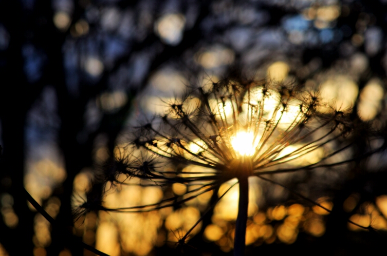 Фотографія Пейзаж / gosha / photographers.ua