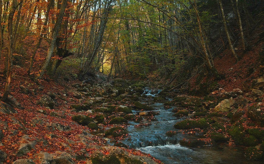 Фотографія Под осеннюю мелодию лесной реки.. / Krol V. / photographers.ua
