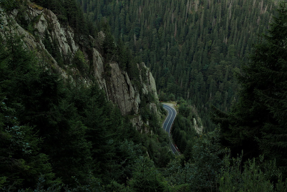 Фотографія Transfăgărăşan / Lena Baran / photographers.ua
