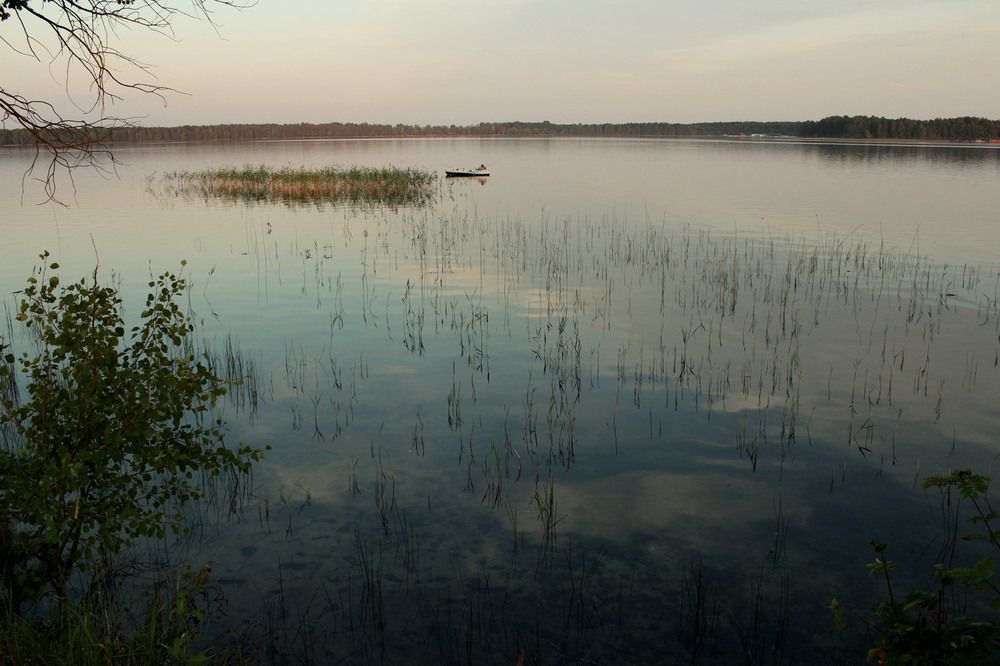 Фотографія Озеро Пісочне. Вечоріє / Lena Baran / photographers.ua