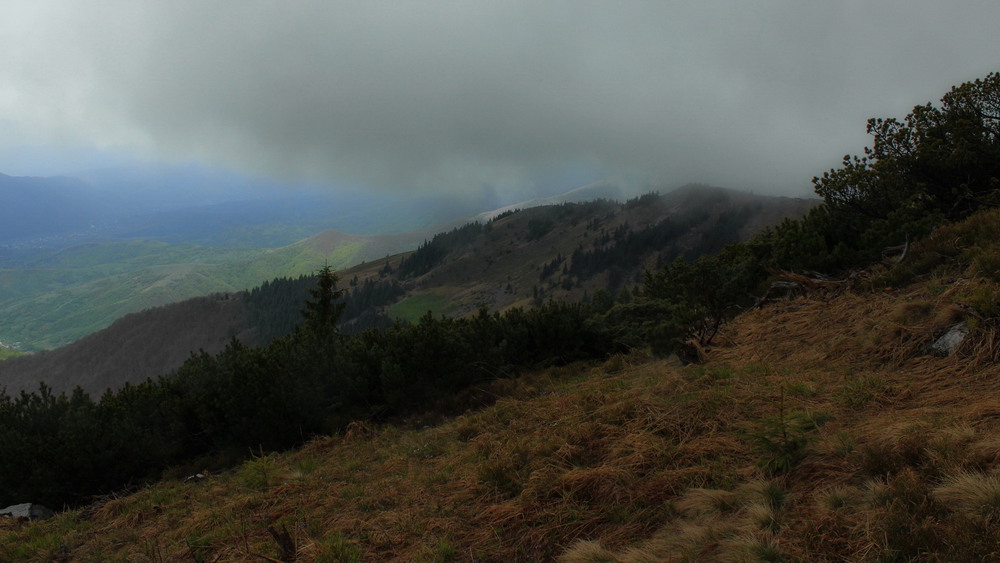 Фотографія по дорозі з Стримби / Lena Baran / photographers.ua