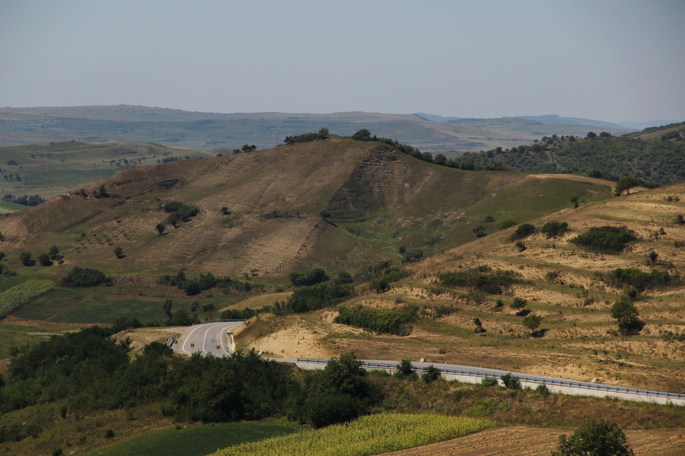 Фотографія дорога в літо / Lena Baran / photographers.ua
