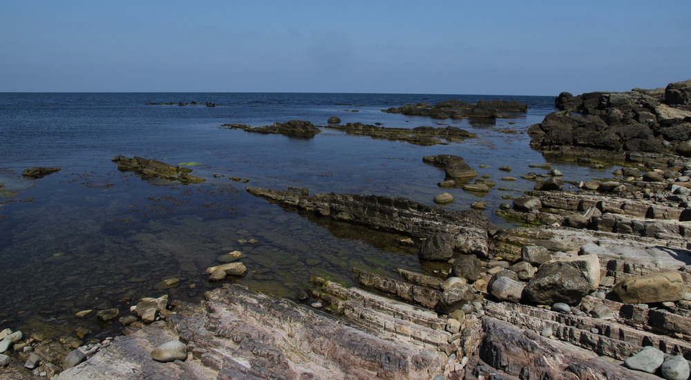 Фотографія Wild Wild South / Lena Baran / photographers.ua