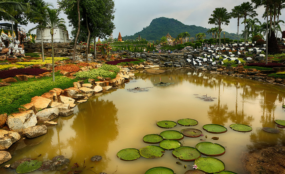 Фотографія Парк Нонг Нуч, Таиланд / Natis    | / photographers.ua