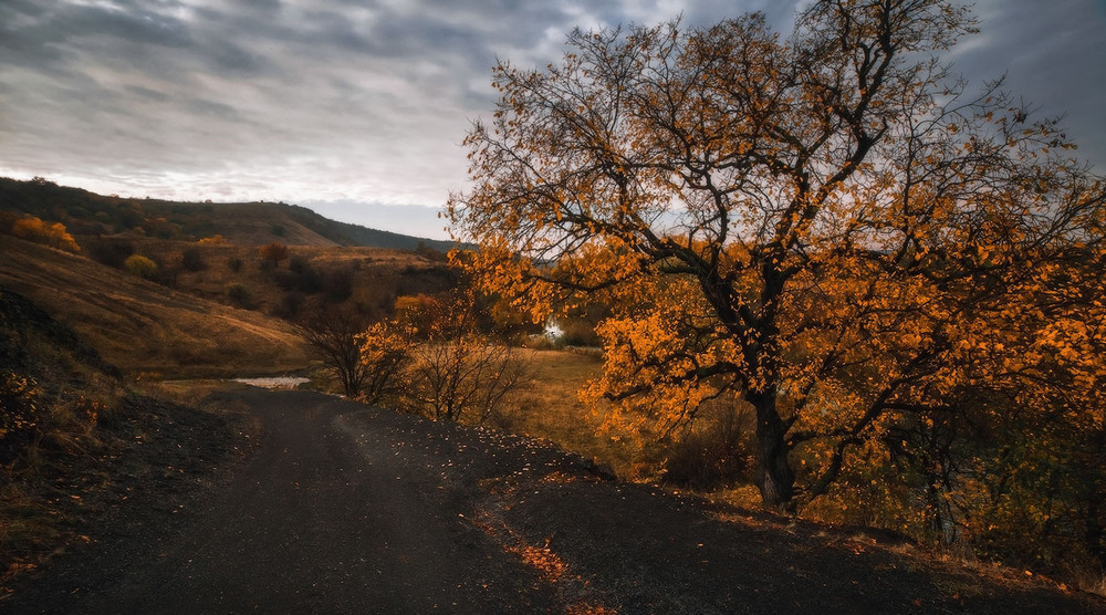 Фотографія Осенними дорогами / vadlen v / photographers.ua