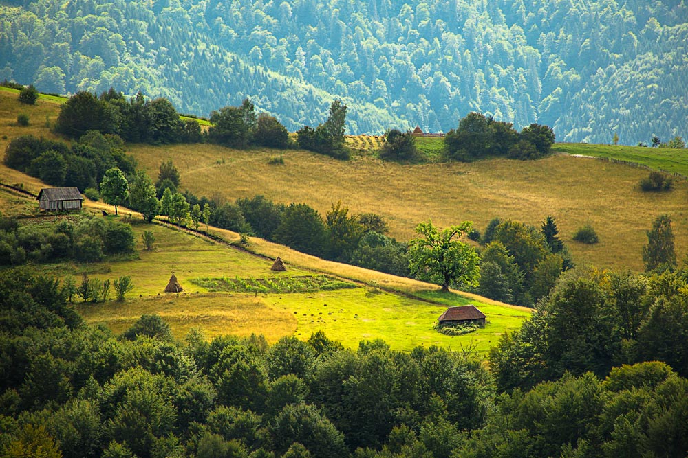 Фотографія Синевирский перевал / Наталья Вишневецкая / photographers.ua