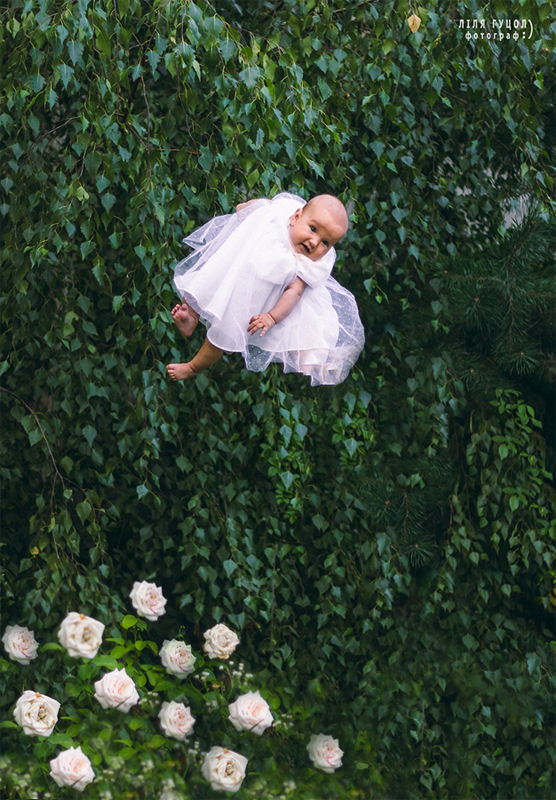 Фотографія "Біла Троянда" / Ліля Гуцол / photographers.ua