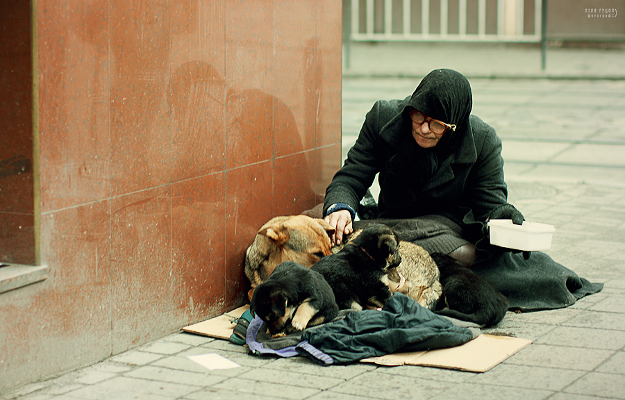 Фотографія Любов до собак / Ліля Гуцол / photographers.ua