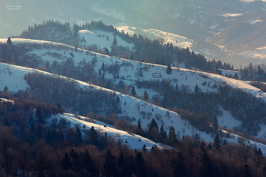 Фотографія гори в Закарпатті / Ліля Гуцол / photographers.ua