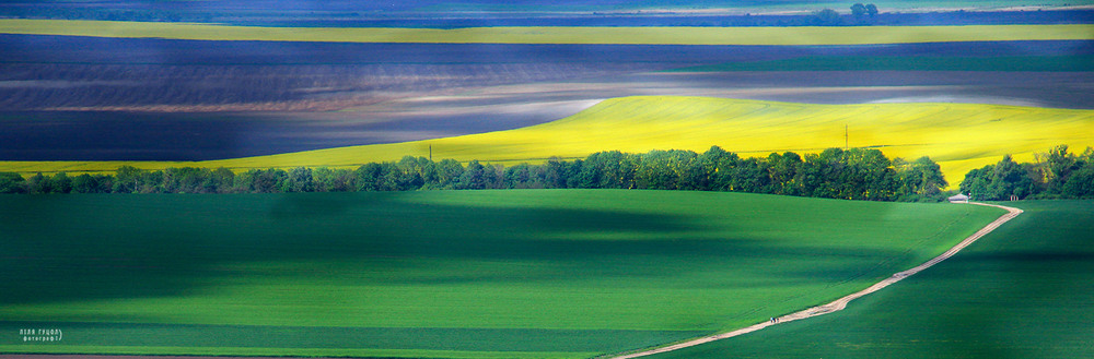 Фотографія поля на львівщині (панорама) / Ліля Гуцол / photographers.ua