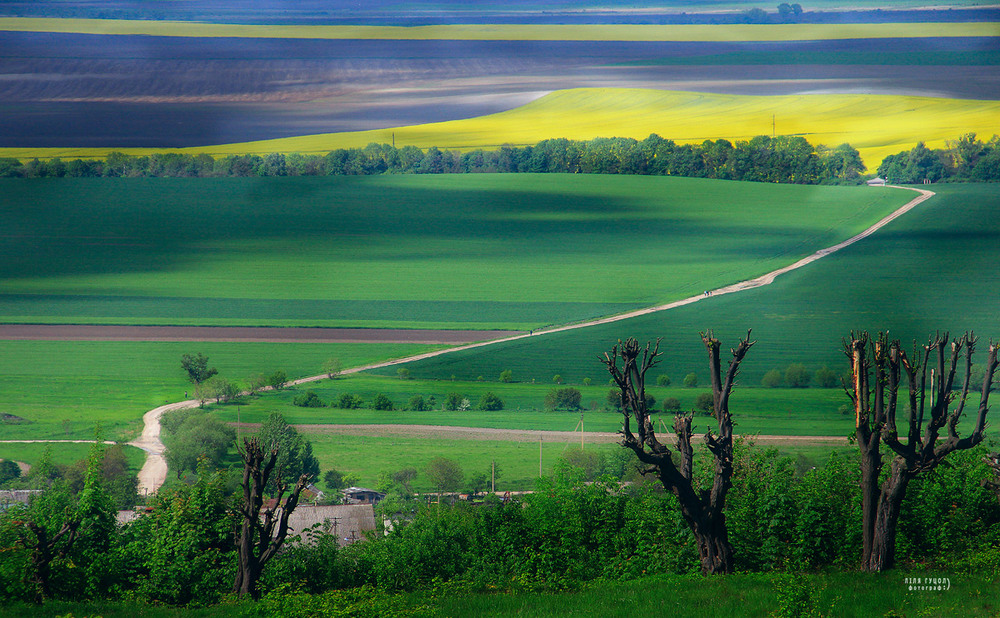 Фотографія Весняні розмальовки / Ліля Гуцол / photographers.ua