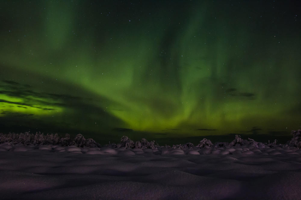 Фотографія Изумрудное небо зимы / Konstantin Porshniev / photographers.ua