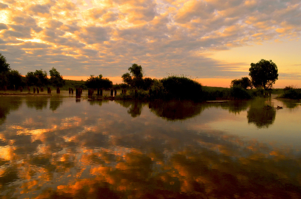 Фотографія На світанку / Людмила Халфина / photographers.ua