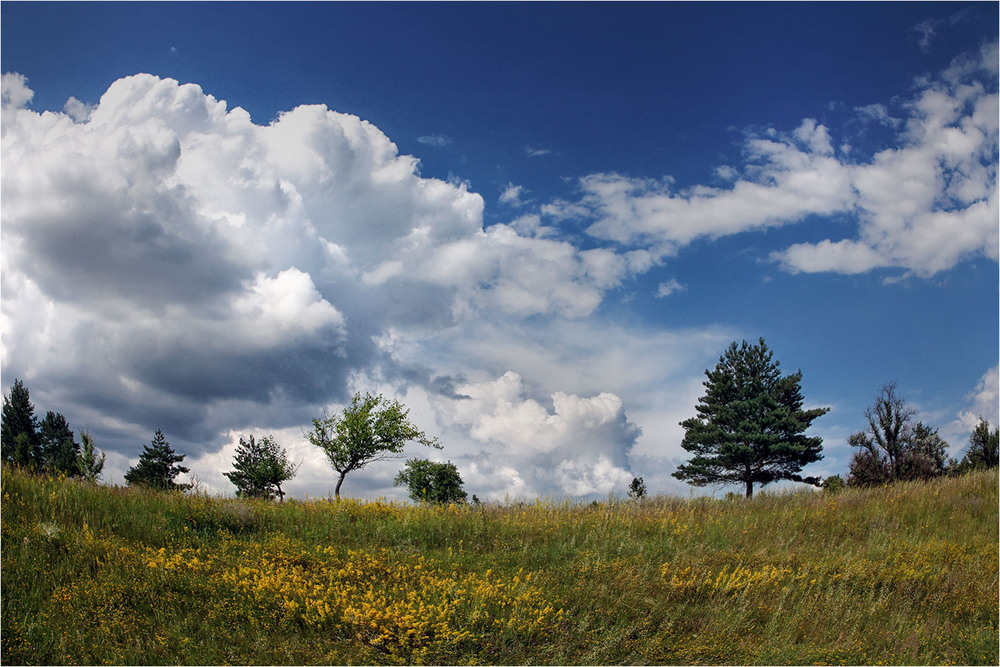Фотографія А над полем плывут облака... / Alexandr Slepcowski / photographers.ua