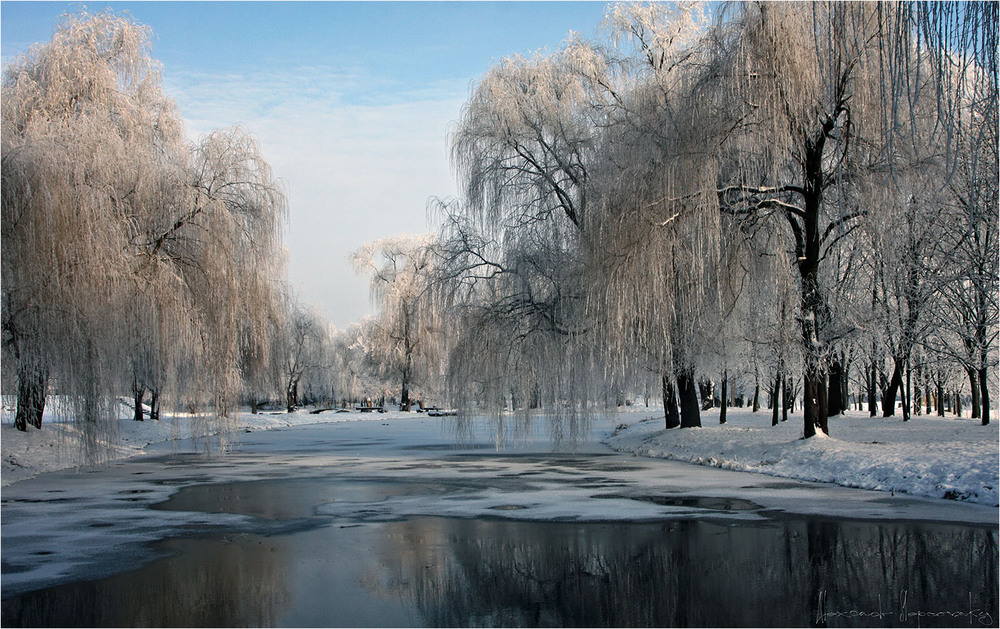 Фотографія Утро з зимнем парке / Alexandr Slepcowski / photographers.ua