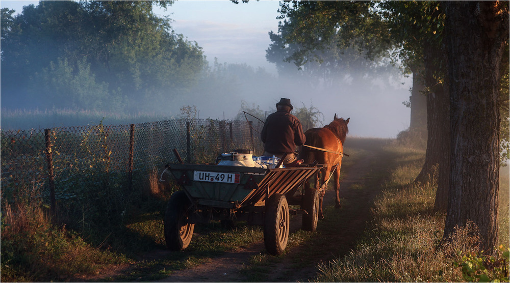 Фотографія За утренним молоком / Alexandr Slepcowski / photographers.ua