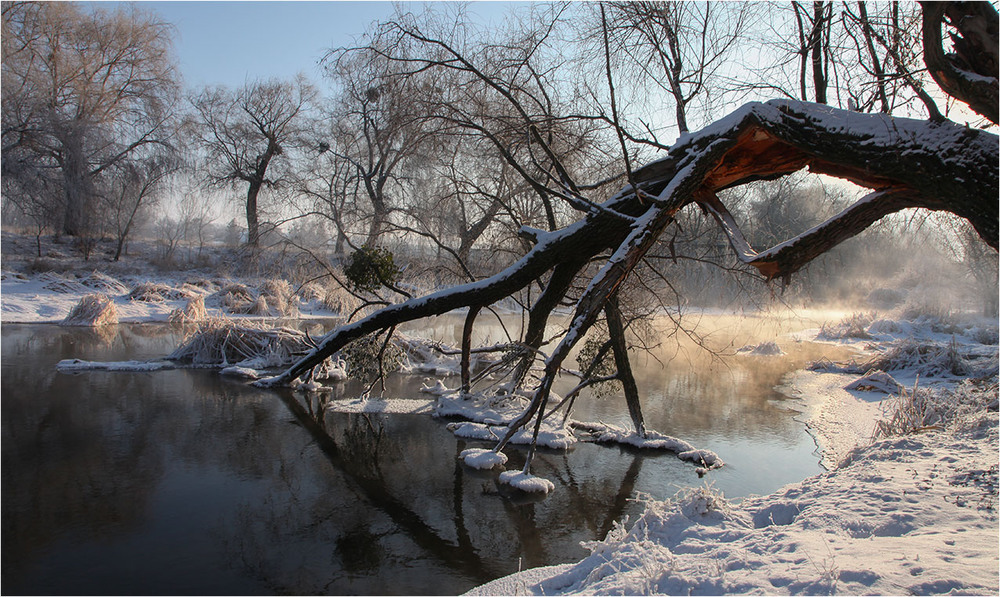 Фотографія Январский этюд / Alexandr Slepcowski / photographers.ua