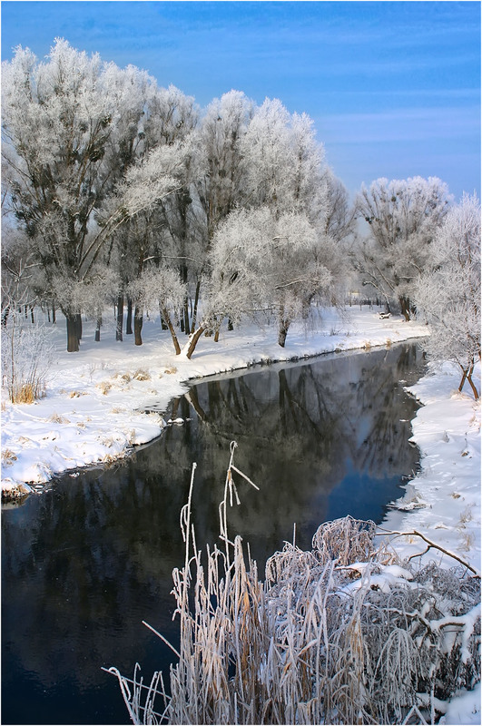 Фотографія Прощальные краски зимы уходящей / Alexandr Slepcowski / photographers.ua