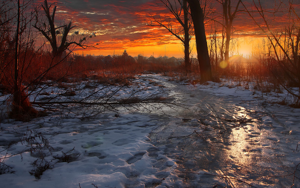 Фотографія Солнце на лето, зима на мороз / Alexandr Slepcowski / photographers.ua