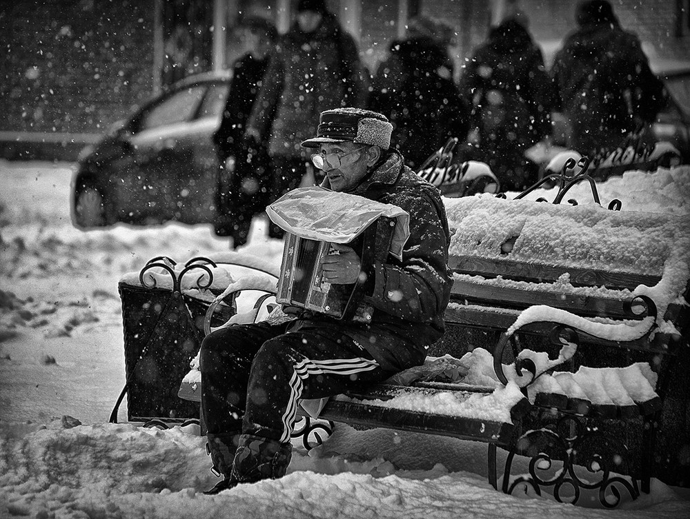 Фотографія Падал снег... / Alexandr Slepcowski / photographers.ua