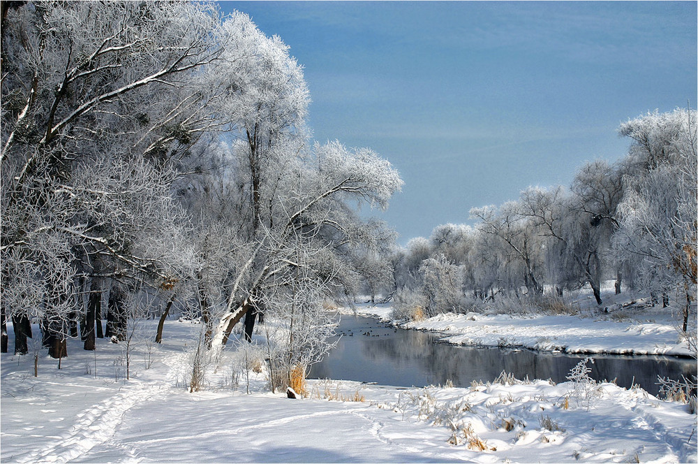 Фотографія Там, где рождается зимняя сказка... / Alexandr Slepcowski / photographers.ua